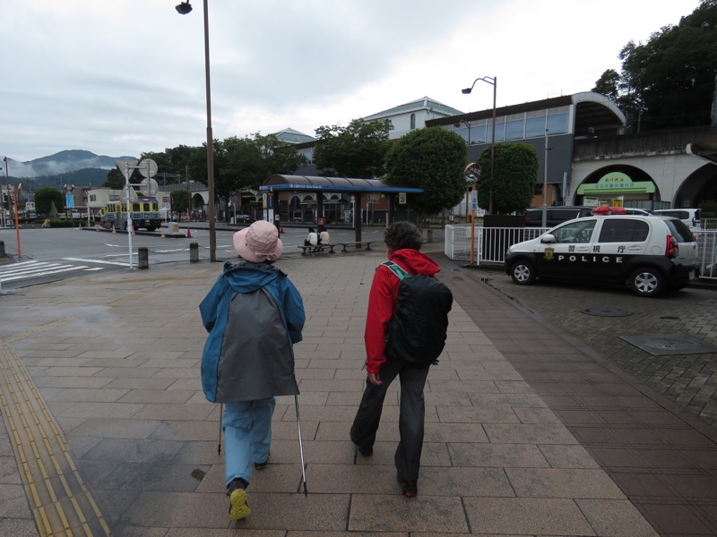 南沢あじさい山