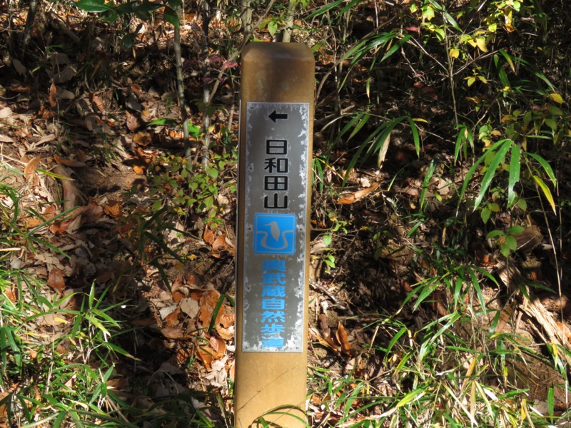 日和田山