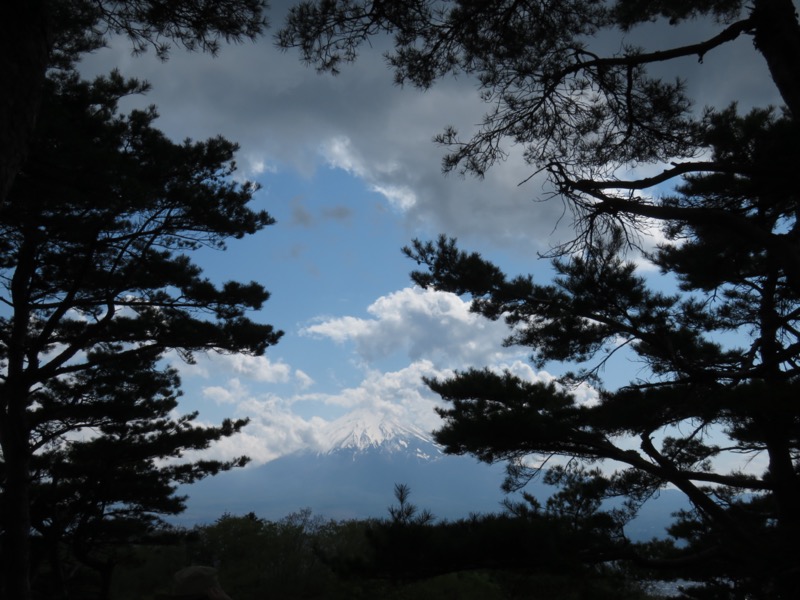 倉見山、富士山
