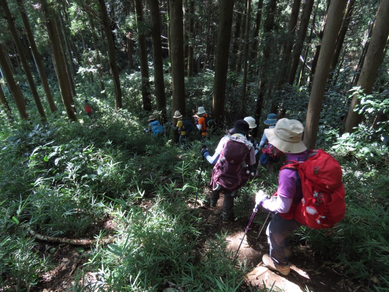 南高尾山稜