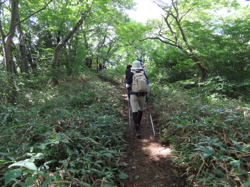 南高尾山稜