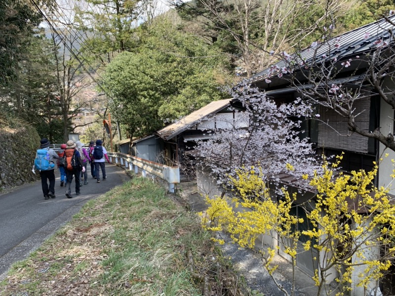 鳩ノ巣渓谷、大多摩ウォーキングトレイル