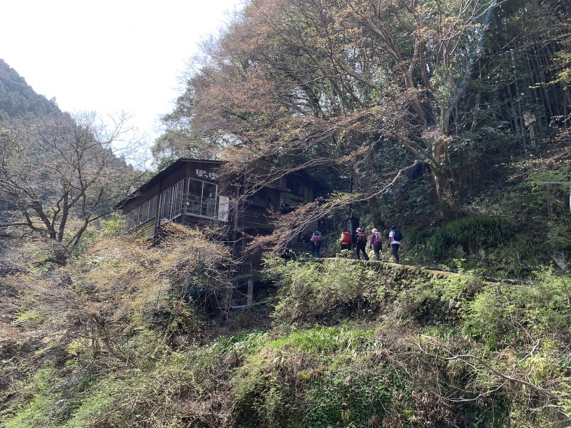 鳩ノ巣渓谷、大多摩ウォーキングトレイル