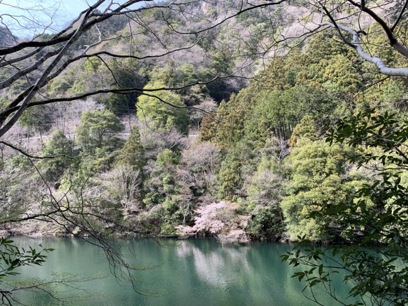 鳩ノ巣渓谷、大多摩ウォーキングトレイル