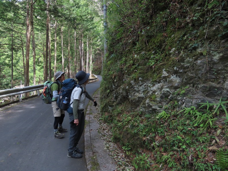 本仁田山