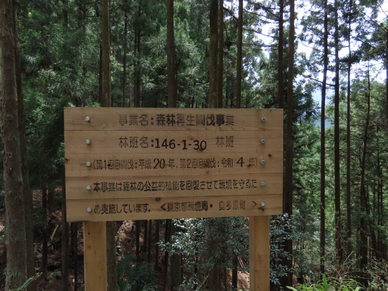 本仁田山