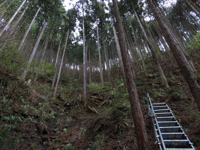 本仁田山