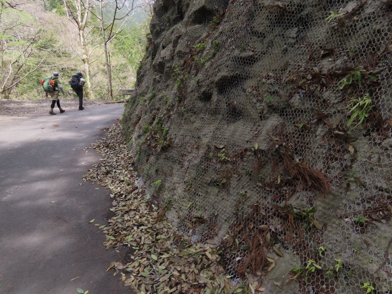 本仁田山