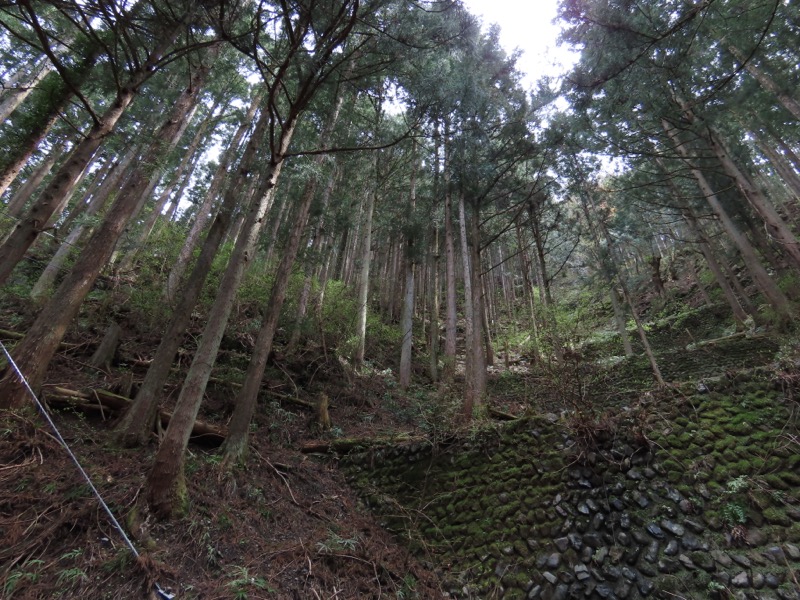 本仁田山