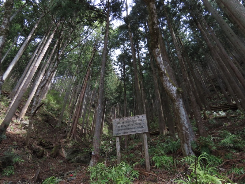 本仁田山