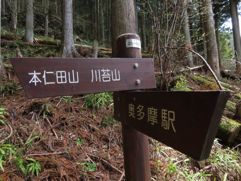 本仁田山