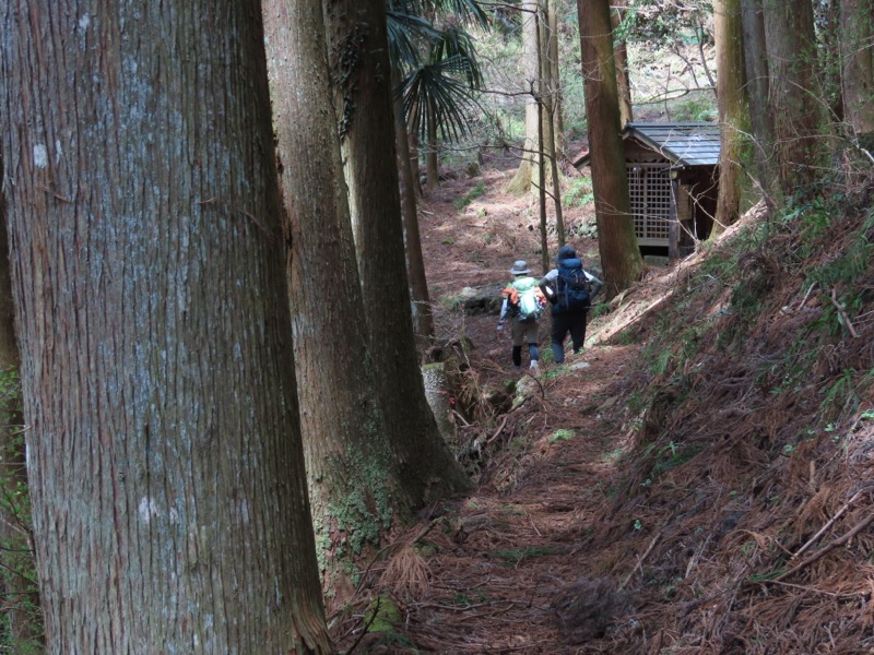 本仁田山