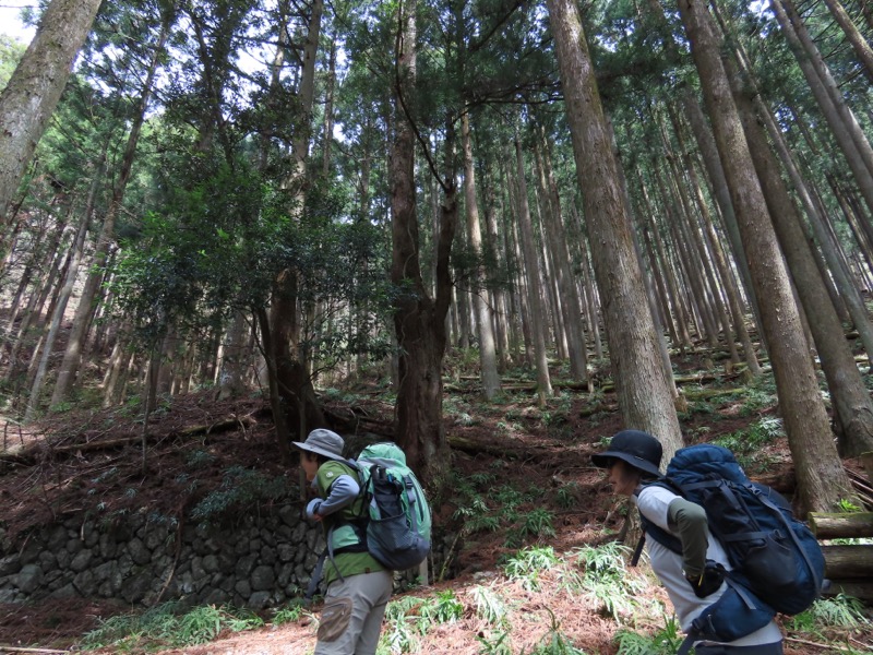 本仁田山