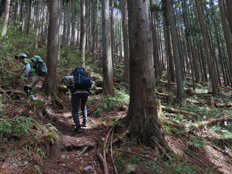 本仁田山