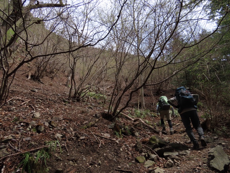 本仁田山