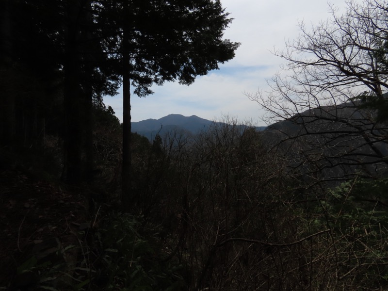 本仁田山