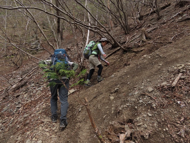 本仁田山