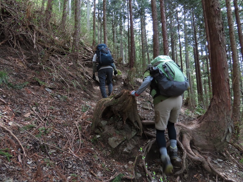 本仁田山