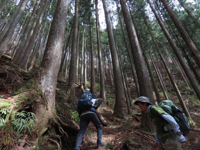 本仁田山