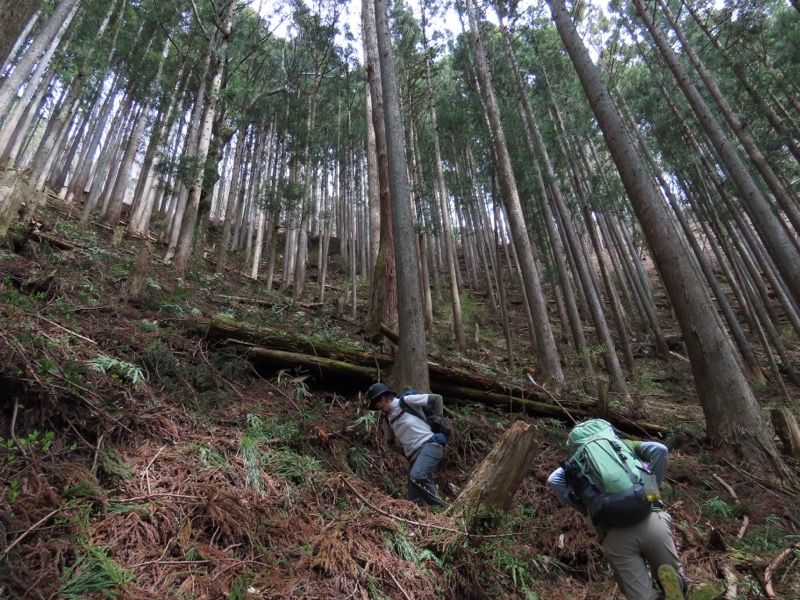 本仁田山