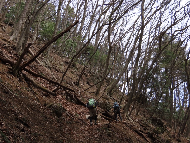 本仁田山