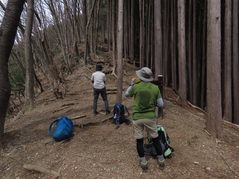 本仁田山