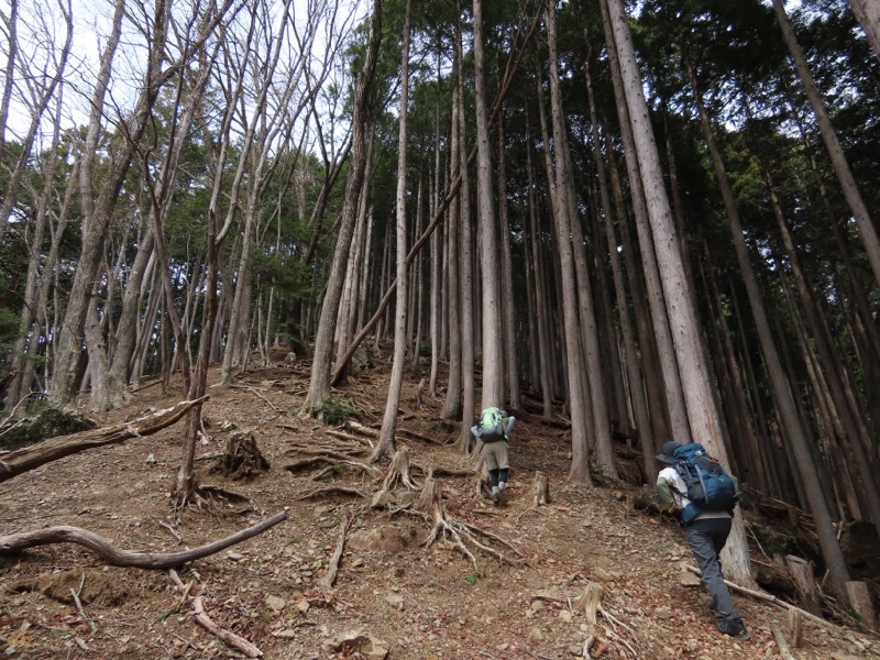 本仁田山