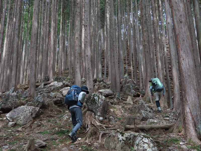 本仁田山