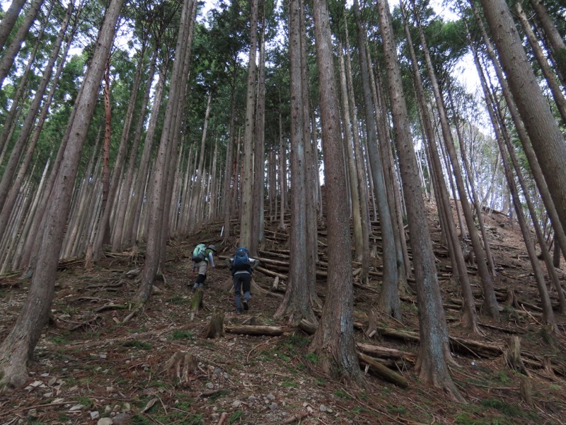 本仁田山