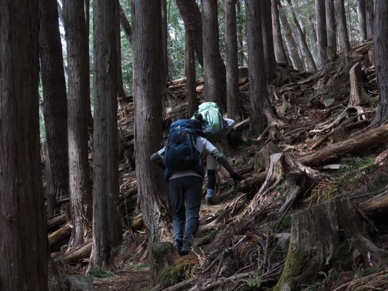 本仁田山