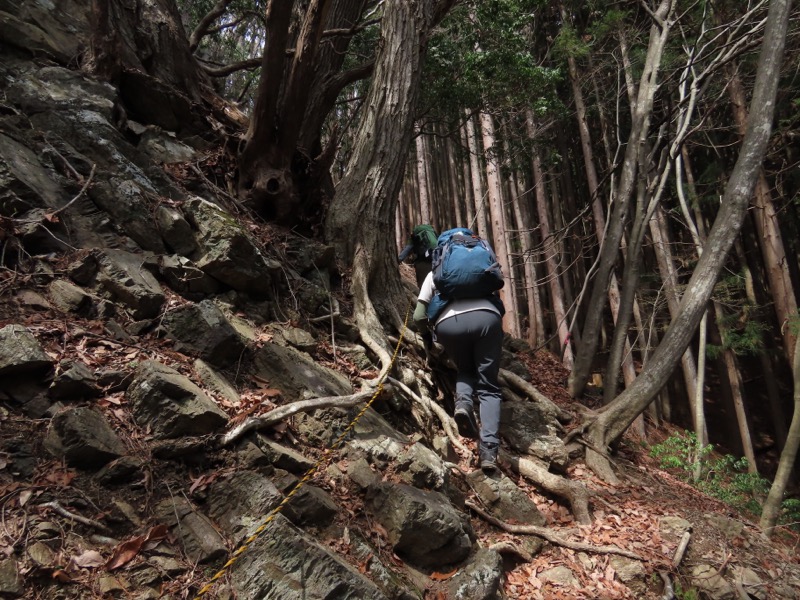 本仁田山