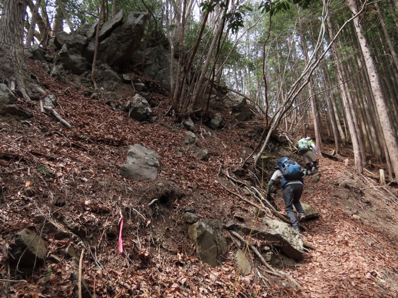 本仁田山