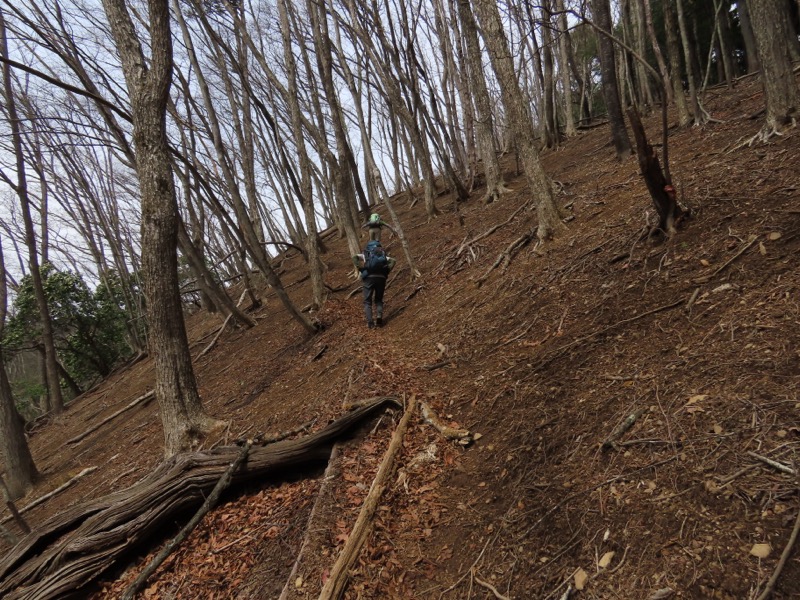 本仁田山