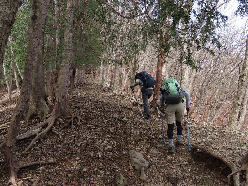 本仁田山