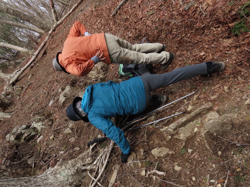 本仁田山