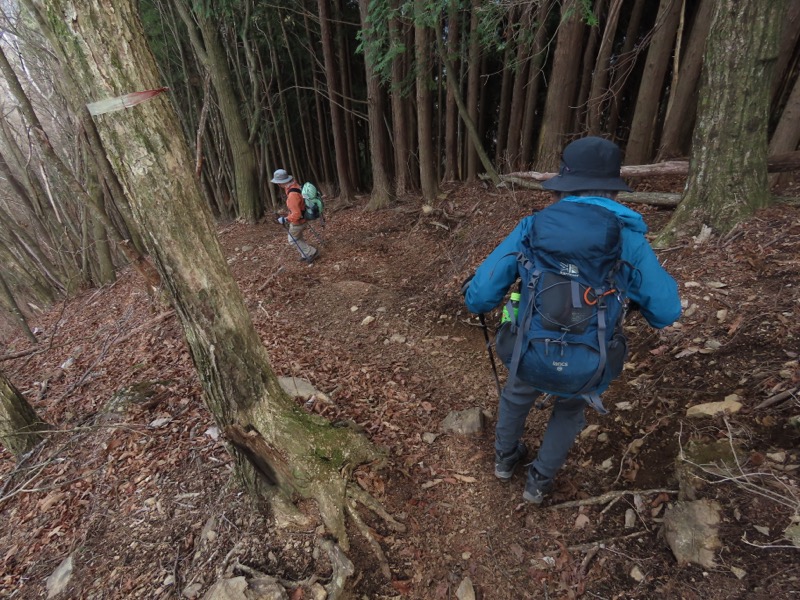 本仁田山