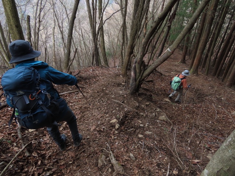 本仁田山