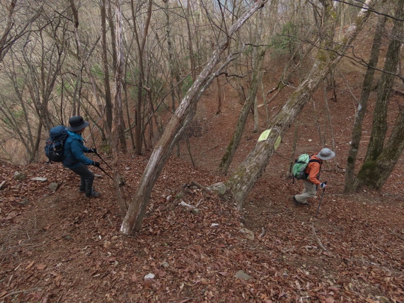 本仁田山