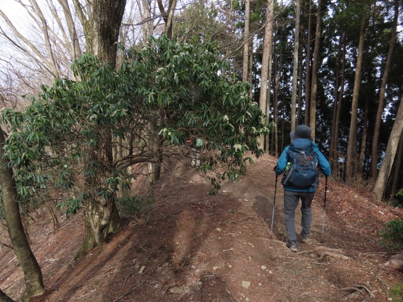 本仁田山