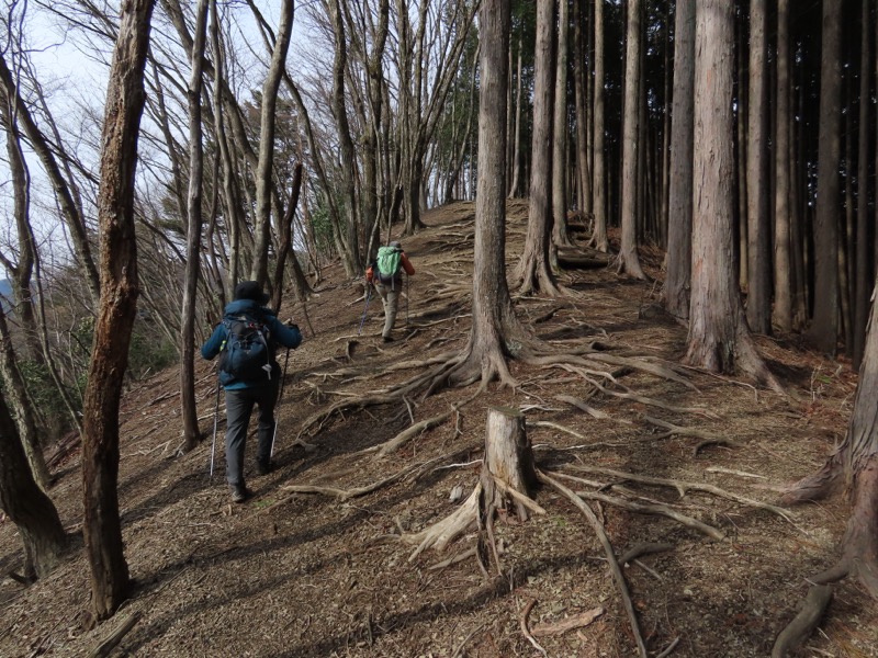 本仁田山