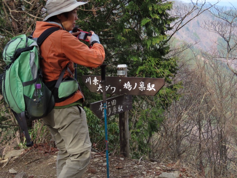 本仁田山