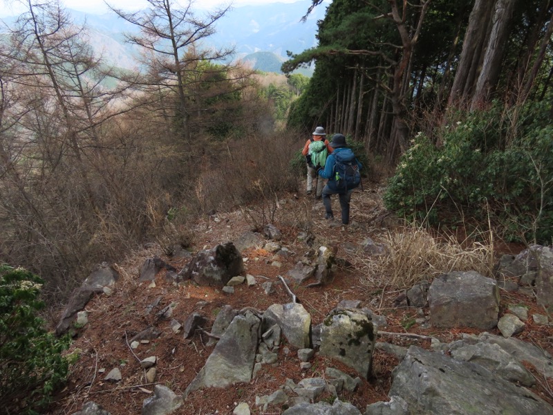 本仁田山