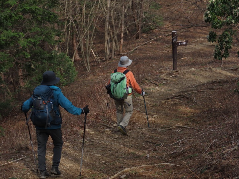 本仁田山