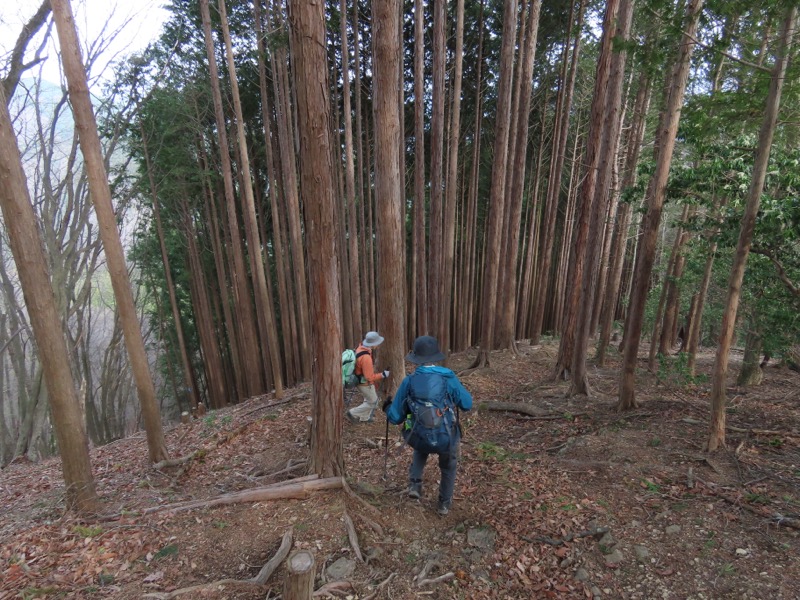 本仁田山