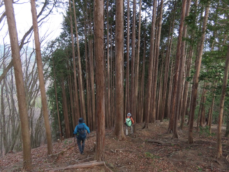 本仁田山