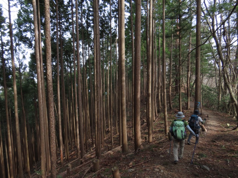 本仁田山