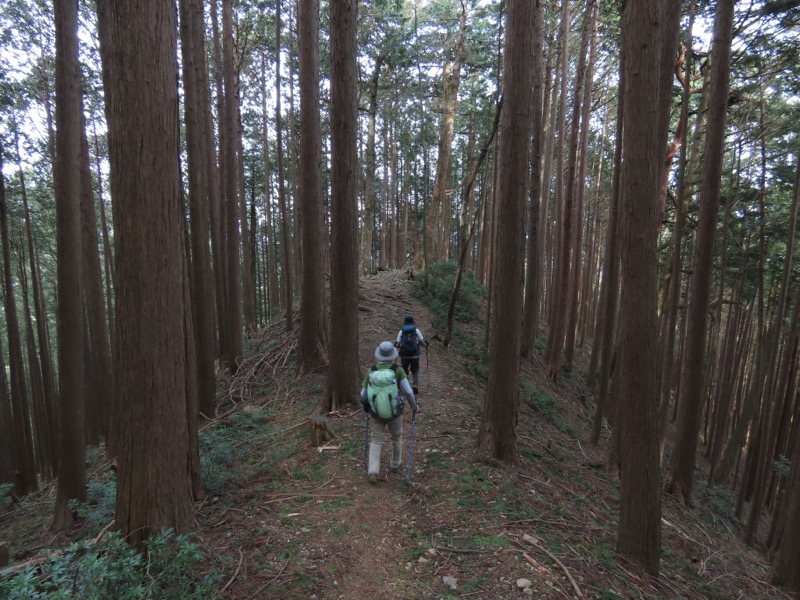 本仁田山