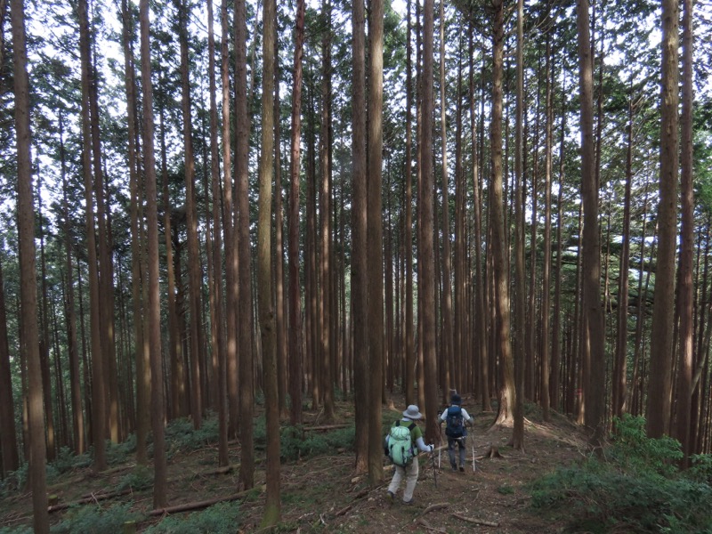 本仁田山