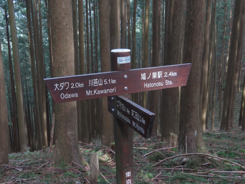 本仁田山