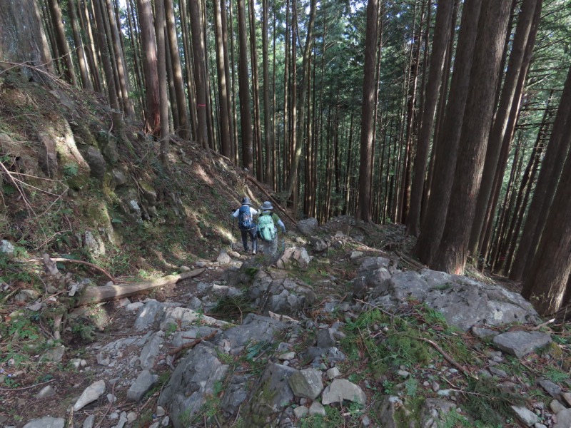 本仁田山